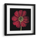 Floraciones Dramáticas I - Vision Studio | Cuadro decorativo de Canvas Lab