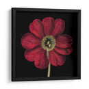 Floraciones Dramáticas I - Vision Studio | Cuadro decorativo de Canvas Lab