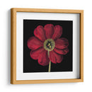 Floraciones Dramáticas I - Vision Studio | Cuadro decorativo de Canvas Lab