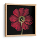 Floraciones Dramáticas I - Vision Studio | Cuadro decorativo de Canvas Lab