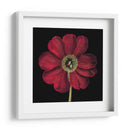 Floraciones Dramáticas I - Vision Studio | Cuadro decorativo de Canvas Lab