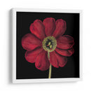 Floraciones Dramáticas I - Vision Studio | Cuadro decorativo de Canvas Lab