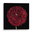 Floraciones Dramáticas Iii - Vision Studio | Cuadro decorativo de Canvas Lab