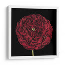 Floraciones Dramáticas Iii - Vision Studio | Cuadro decorativo de Canvas Lab