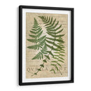 Fern Folio I - Vision Studio | Cuadro decorativo de Canvas Lab