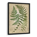 Fern Folio I - Vision Studio | Cuadro decorativo de Canvas Lab