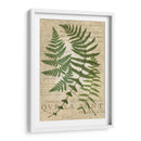 Fern Folio I - Vision Studio | Cuadro decorativo de Canvas Lab