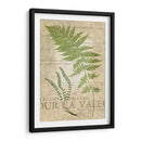Fern Folio Ii - Vision Studio | Cuadro decorativo de Canvas Lab