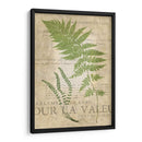Fern Folio Ii - Vision Studio | Cuadro decorativo de Canvas Lab