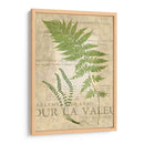 Fern Folio Ii - Vision Studio | Cuadro decorativo de Canvas Lab