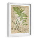 Fern Folio Ii - Vision Studio | Cuadro decorativo de Canvas Lab