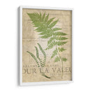Fern Folio Ii - Vision Studio | Cuadro decorativo de Canvas Lab