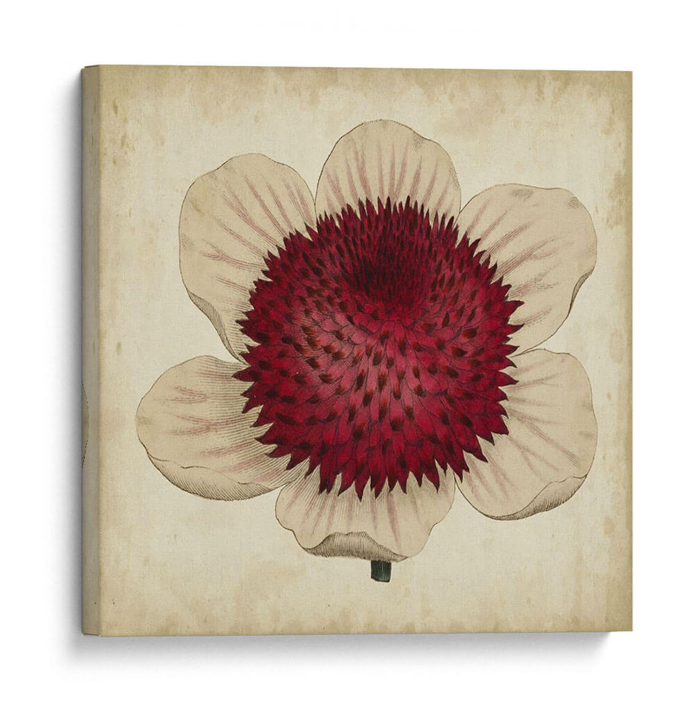 Pop Floral Iv - Vision Studio | Cuadro decorativo de Canvas Lab