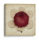 Pop Floral Iv - Vision Studio | Cuadro decorativo de Canvas Lab