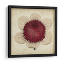 Pop Floral Iv - Vision Studio | Cuadro decorativo de Canvas Lab