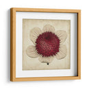 Pop Floral Iv - Vision Studio | Cuadro decorativo de Canvas Lab
