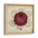 Pop Floral Iv - Vision Studio | Cuadro decorativo de Canvas Lab