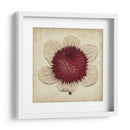 Pop Floral Iv - Vision Studio | Cuadro decorativo de Canvas Lab
