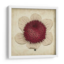 Pop Floral Iv - Vision Studio | Cuadro decorativo de Canvas Lab