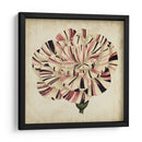 Pop Floral Vi - Vision Studio | Cuadro decorativo de Canvas Lab