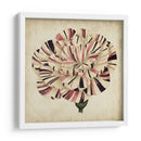 Pop Floral Vi - Vision Studio | Cuadro decorativo de Canvas Lab