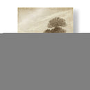 Isla De Los Monos - W. Cooke | Cuadro decorativo de Canvas Lab