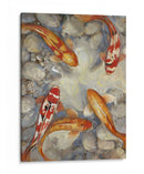 Koi I Vibrante Personalizado (Ceniza) - Tim OToole | Cuadro decorativo de Canvas Lab