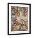 Koi I Vibrante Personalizado (Ceniza) - Tim OToole | Cuadro decorativo de Canvas Lab