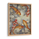 Koi I Vibrante Personalizado (Ceniza) - Tim OToole | Cuadro decorativo de Canvas Lab
