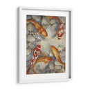 Koi I Vibrante Personalizado (Ceniza) - Tim OToole | Cuadro decorativo de Canvas Lab