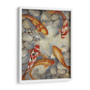 Koi I Vibrante Personalizado (Ceniza) - Tim OToole | Cuadro decorativo de Canvas Lab