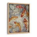 Koi Ii Vibrante Personalizado (Ceniza) - Tim OToole | Cuadro decorativo de Canvas Lab