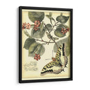 Mariposas Caprichosas I - Vision Studio | Cuadro decorativo de Canvas Lab