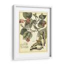 Mariposas Caprichosas I - Vision Studio | Cuadro decorativo de Canvas Lab