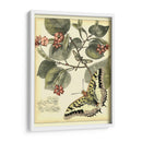 Mariposas Caprichosas I - Vision Studio | Cuadro decorativo de Canvas Lab