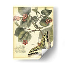 Mariposas Caprichosas I - Vision Studio | Cuadro decorativo de Canvas Lab