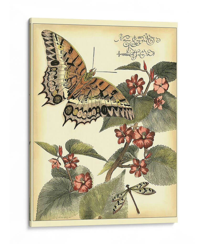Mariposas Caprichosas Ii - Vision Studio | Cuadro decorativo de Canvas Lab