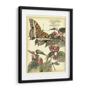 Mariposas Caprichosas Ii - Vision Studio | Cuadro decorativo de Canvas Lab