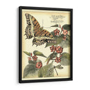 Mariposas Caprichosas Ii - Vision Studio | Cuadro decorativo de Canvas Lab