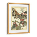 Mariposas Caprichosas Ii - Vision Studio | Cuadro decorativo de Canvas Lab