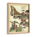 Mariposas Caprichosas Ii - Vision Studio | Cuadro decorativo de Canvas Lab