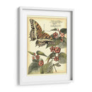 Mariposas Caprichosas Ii - Vision Studio | Cuadro decorativo de Canvas Lab