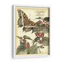 Mariposas Caprichosas Ii - Vision Studio | Cuadro decorativo de Canvas Lab