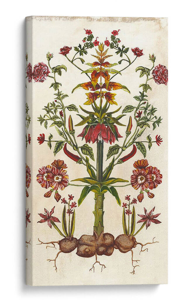 Híbrido Botánico I - Naomi McCavitt | Cuadro decorativo de Canvas Lab