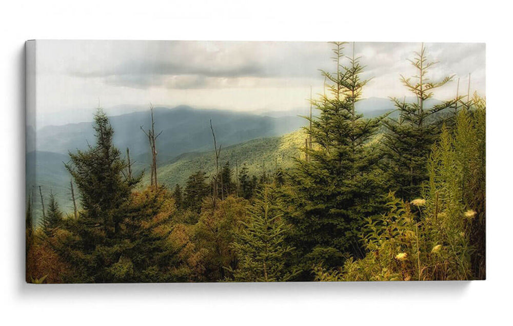 Early Otoño Vista - Danny Head | Cuadro decorativo de Canvas Lab