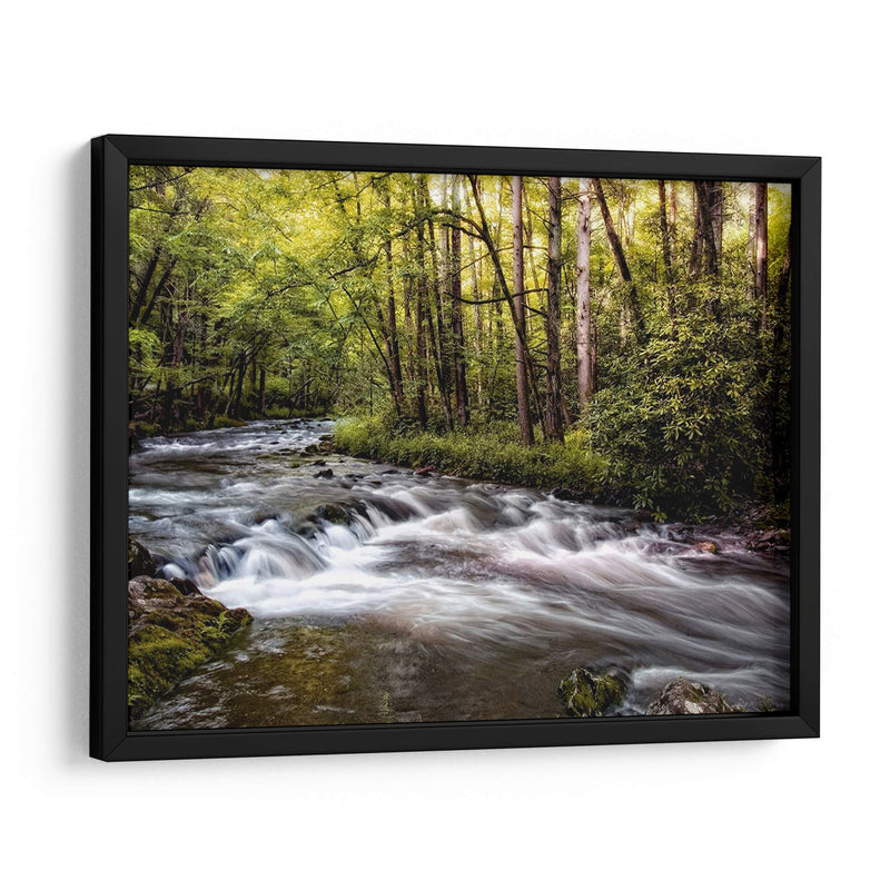 Luz Del Sol En Jakes Creek Ii - Danny Head | Cuadro decorativo de Canvas Lab