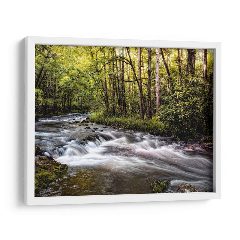 Luz Del Sol En Jakes Creek Ii - Danny Head | Cuadro decorativo de Canvas Lab