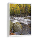 Cuadro decorativo de Canvas Lab