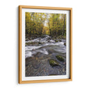 Cuadro decorativo de Canvas Lab