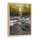 Cuadro decorativo de Canvas Lab